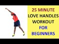 25 Minute Love Handles Workout for Beginners | The Best Standing Oblique Workout