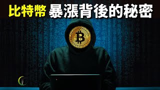 比特幣暴漲背後的秘密(3個人和3個公司的故事) | 天天探秘(加密貨幣,位元幣,數字貨幣,數字朋克,中本聰,門頭溝)