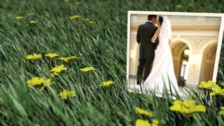 Wedding Intro Video