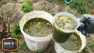I don't buy fertilizers anymore, I make them myself! It's much better than store bought ones