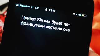 Прикол от SIRI, перевод на французский