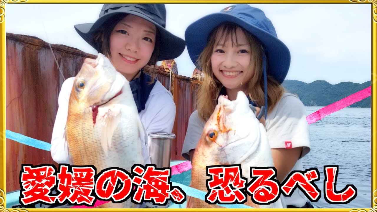 第379話【大物の巣窟】愛媛の海の中には一体どれだけの魚が・・!の巻!
