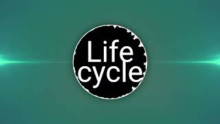 Life cycle | copyright free 