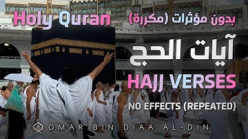 آيات الحج بدون مؤثرات (مكررة) | بصوت القارئ عمر بن ضياء الدين | Hajj Verses No Effects