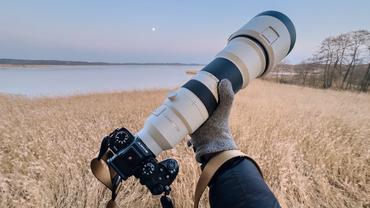 Rekordowy teleobiektyw do fotografii ptaków: Sony FE 400-800 mm
