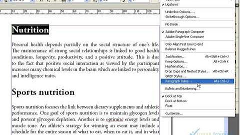 Adobe Indesign Tutorial in Tamil | Paragraph Rules