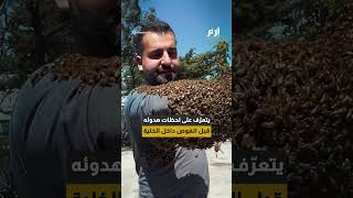 بجرأة مذهلة و دون قفازات.. لبناني يحمل بيده 12 كيلوغراماً من النحل