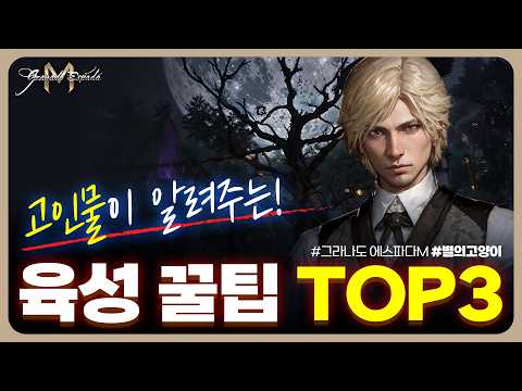 (그라나도 에스파다M) 고인물이 알려주는🔴육성 꿀팁 TOP3 💠무,소과금 초보 필독