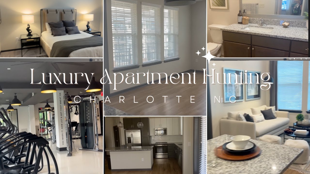 Come Luxury Apartment Hunting Charlotte NC YouTube