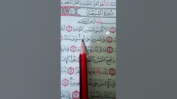 سورة القيمة بصوت مريح #duet #اكسبلور #الله #الرحمن