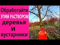 ОБРАБОТАЙТЕ САД от БОЛЕЗНЕЙ и ВРЕДИТЕЛЕЙ! Осенняя обработка сада, плодовых деревьев и ягодных!