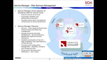 The Impact of SOA on IT  SOA Infrastructure Requirements