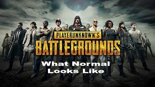 What Normal Looks Like PlayerUnknown's Battlegrounds