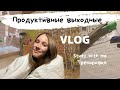 Продуктивные выходные vlog || study with me || учёба, тренировка, осенние прогулки