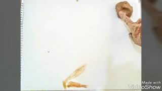 Ebi... 100 years old wine... time to get naked! lovely art...ابی ... شراب صد ساله و هنر سفال و گِل