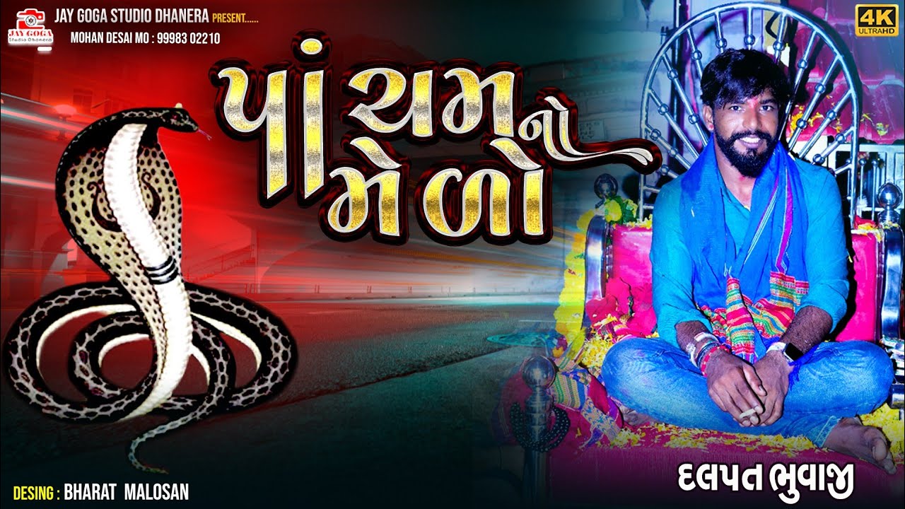 દલપત ભુવાજી ચોરા || પાંચમનો મેળો || ગોગા ચેહર નરસિંહગા વિર ધામ ચોરા  pat 2