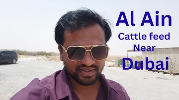 Cattle Feed Market in Dubai I #exportimport #simonraks #export #business