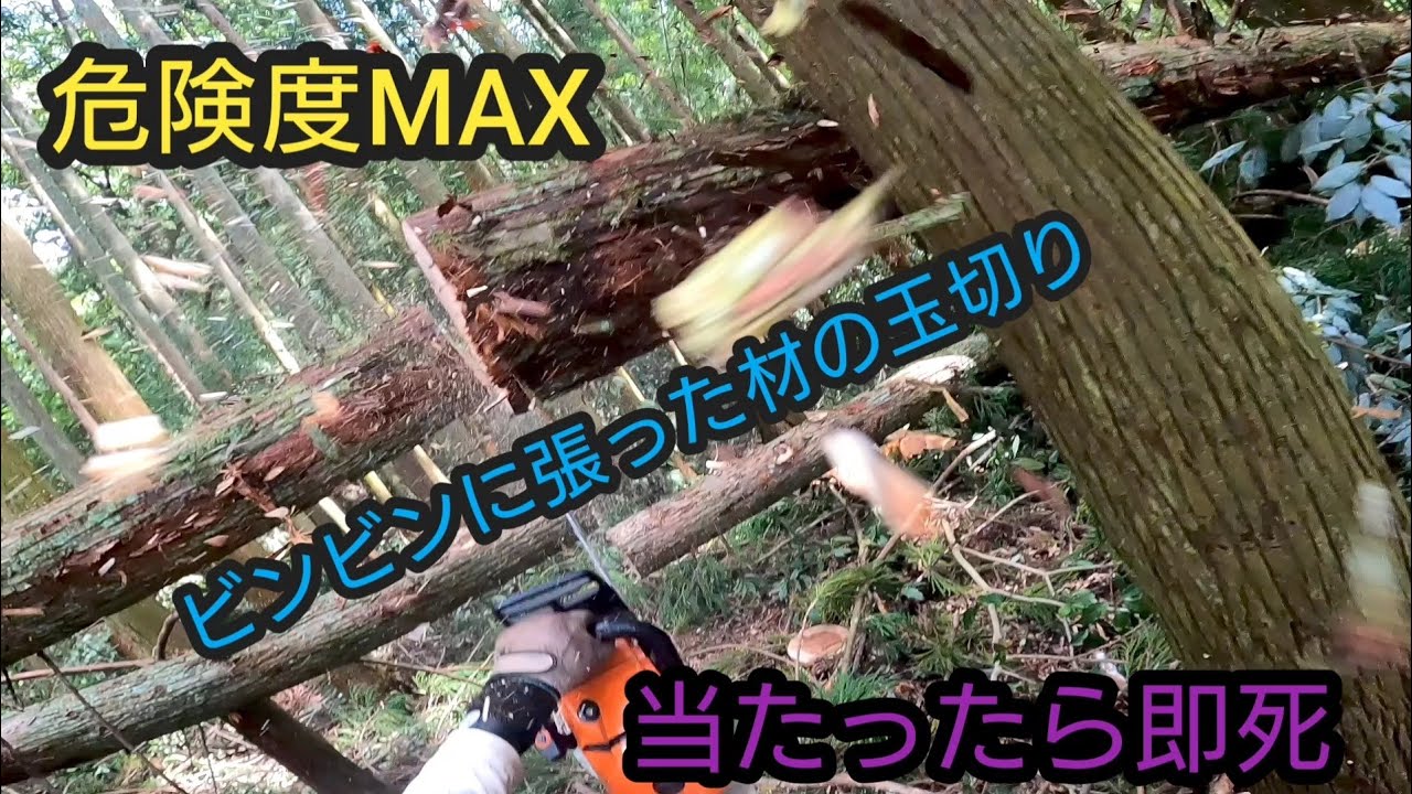 file389『これはヤバかった。』師匠と RINGYOU！～小さな林業～