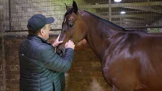 Ones To Watch - Lost And Running