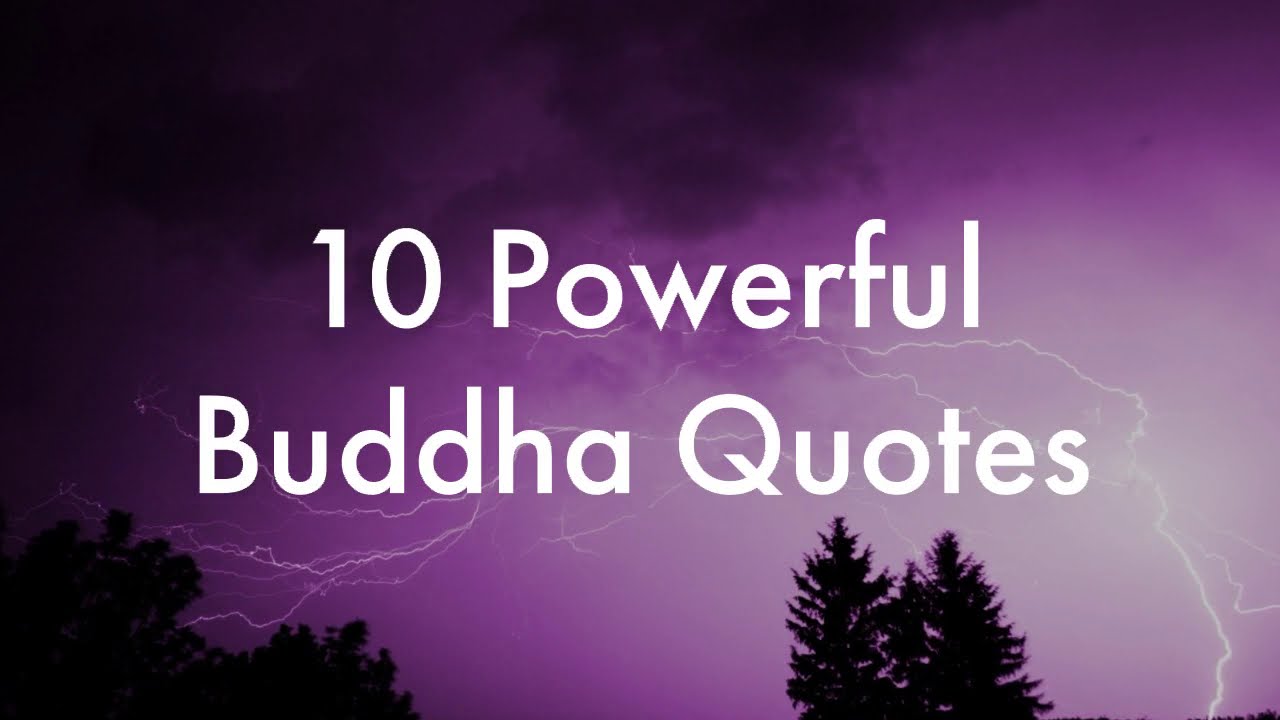 2024 New Year Great Buddha Quotes On Life | Buddha Quotes In English