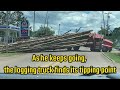 Logging truck tips over while trying to make a turn, and more moments with trucks