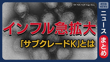 インフル猛威 新変異株「サブクレードK」の脅威 / 感染ピーク1カ月早く「患者数は去年の40倍」 かかりやすい人の特徴は【ニュースまとめ】(2025年11月18日～28日) ANN/テレ朝