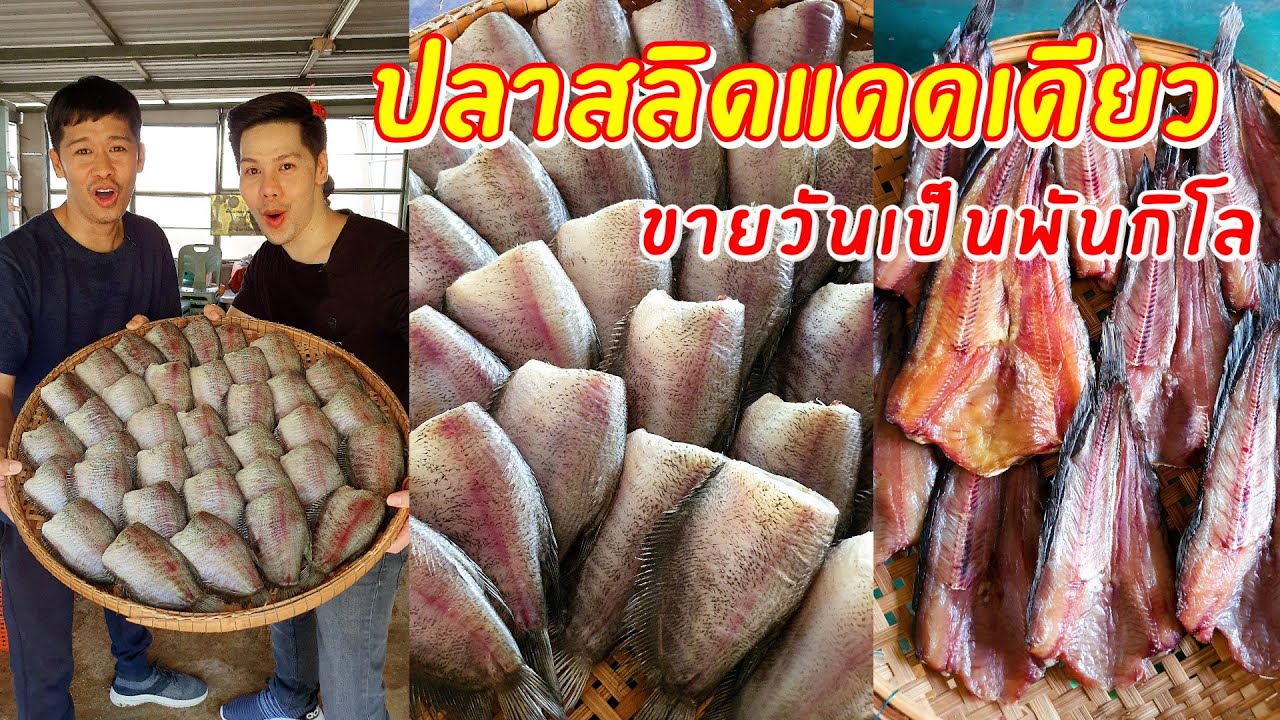 ขายวันเป็นพันกิโล ปลาสลิดแดดเดียว | เอิร์ธสดชื่น เชฟอาร์มหมั่นเขี้ยว