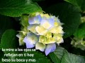 se parece mas a ti-con letra