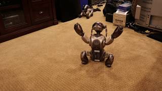 Sony AIBO ERS7 Booting Mind 1 & Motion Check