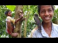 পাখি পোষ মানানোর উপায় - Bird hunting in The Village Natural Beautiful Place l Pakhi Palon Bangla