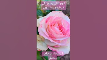 ربي اجعلني مقيم الصلاة _ ماتيسر من سورة ابراهيم