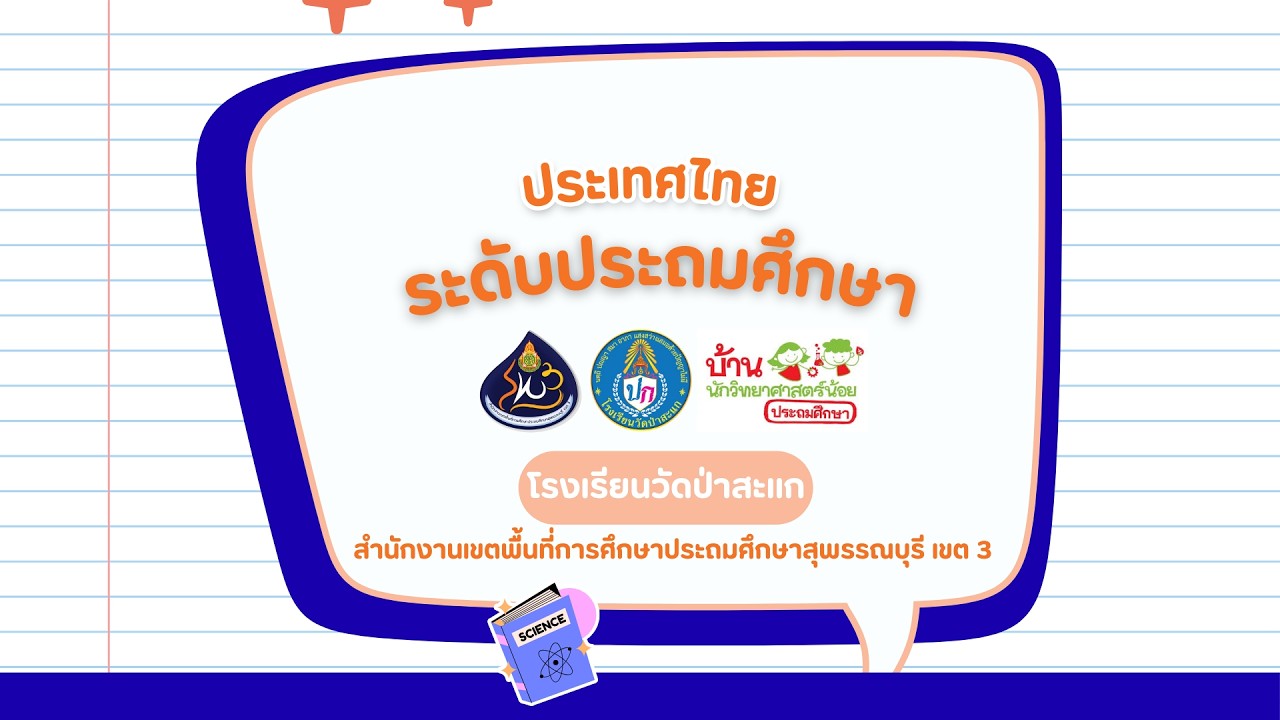 กิจกรรมสือเสาะอิสระ เรื่อง รอยฟกช้ำที่ว่าแน่…ยังต้องแพ้วาสลีนพันธุ์ทิพย์ ชั้น ป.1 ปีการศึกษา 2568