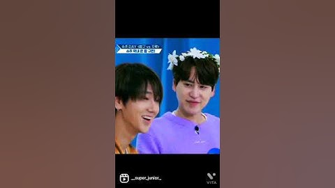 the way kyuhyun looks at yesung 💝 #superjunior #shorts #yesung #kyuhyun