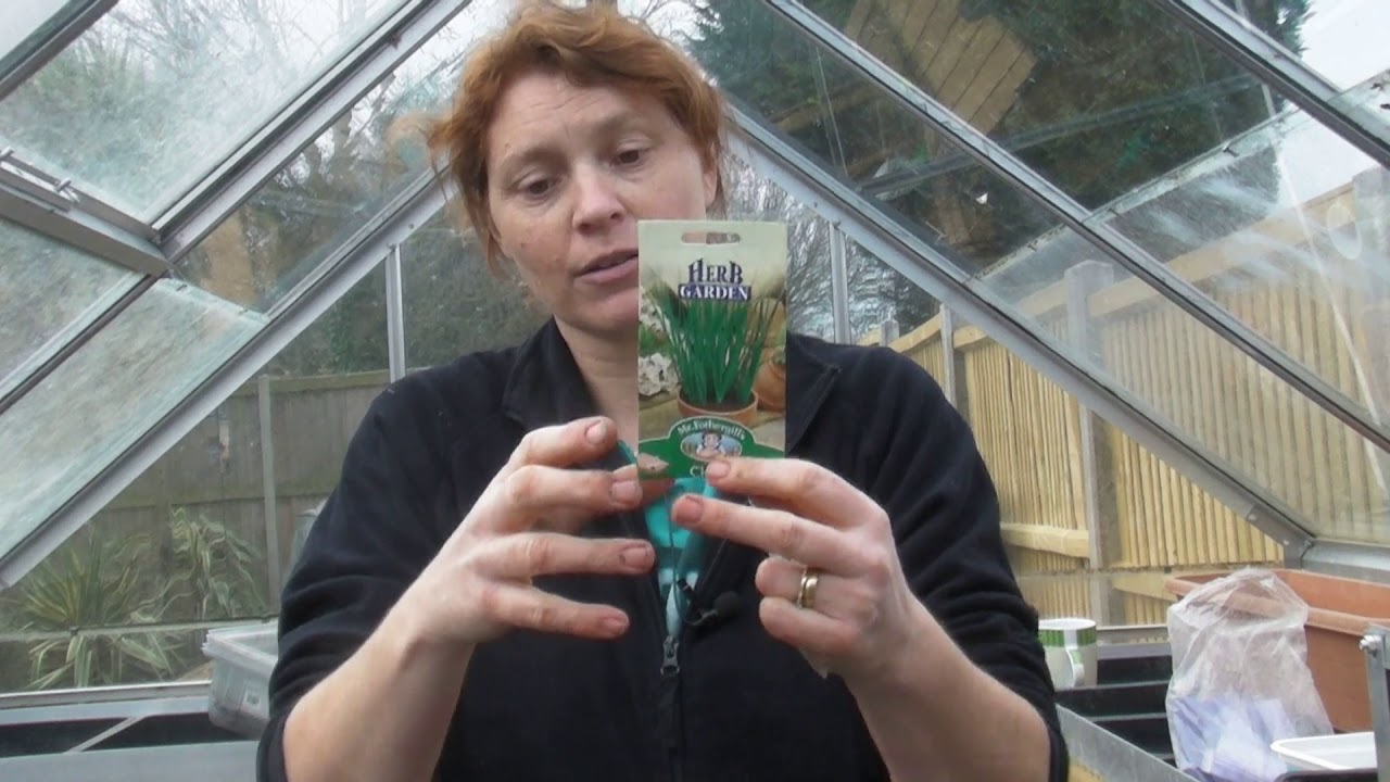 Sowing a selection of Herbs   Claire's Allotment   Part 401