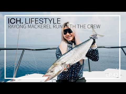 Rayong Mackerel Run with the Crew