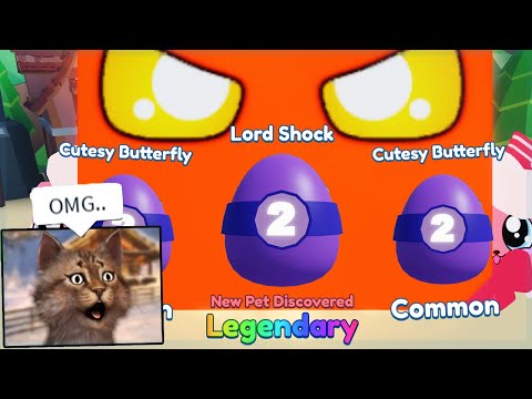 SPENDING *10,000,000* COINS TO GET THE LEGENDARY SECRET PET IN PET SIMULATOR  2 (Roblox) - video Dailymotion