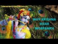 Why krishna wear morpankh  unknown story of golok  by unirounder