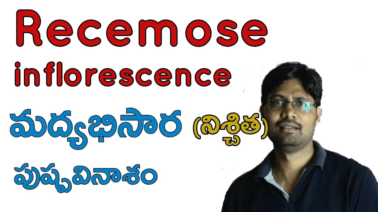 Recemose inflorescence types (Morphology of flowering plants) Bhaskar's biology