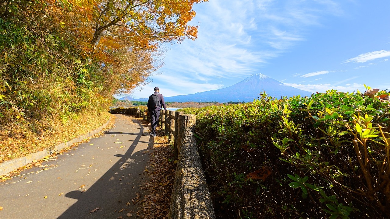Relaxing Fujinomiya in Autumn 🍁  Japan Nature & Mt.Fuji Views