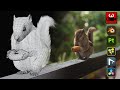 Complete making of series | 24 hour challenge