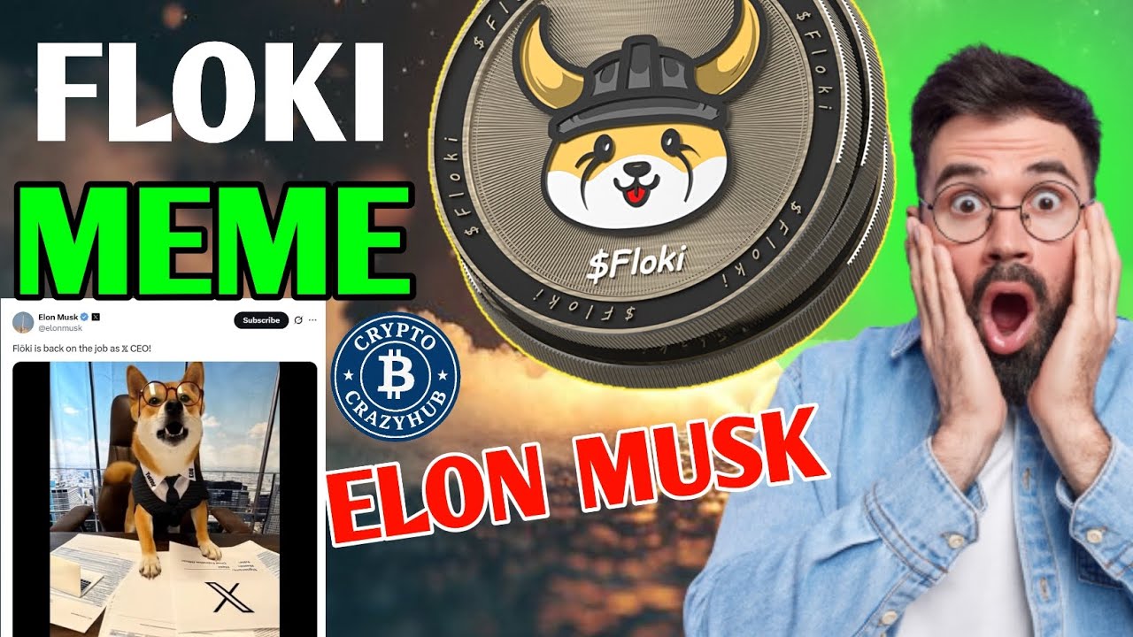Floki Meme Coin Update Today | Floki Meme Coin News Today 