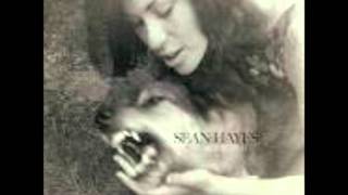 Sean Hayes - Soul Shaker chords