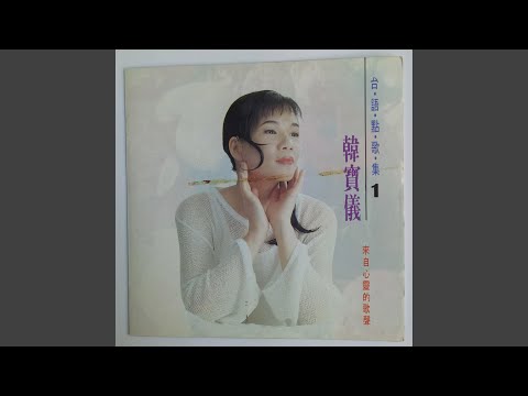 一生甘愿为你错