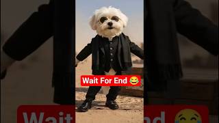 Dhurandhar Dance Dog 😂🐾#shorts #dhurandhar
