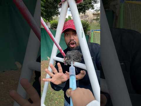 الولد يأخذ التطعيم بدل الكوكي