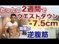 いま話題の逆腹筋でウエストダウン!効果的にお腹周りを細くする方法。【林先生の初耳学】