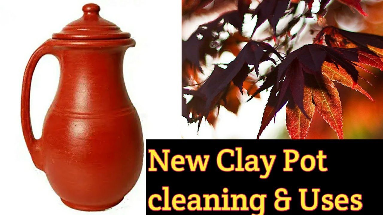 Right way to Clean & Maintain Clay Pots  How to remove molds, oil stains &  food smell? Nisha Thaju 