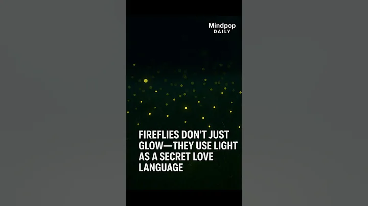 Fireflies Speak in Light—Their Glow Is a Love Language ✨🐞 l MindPop Daily