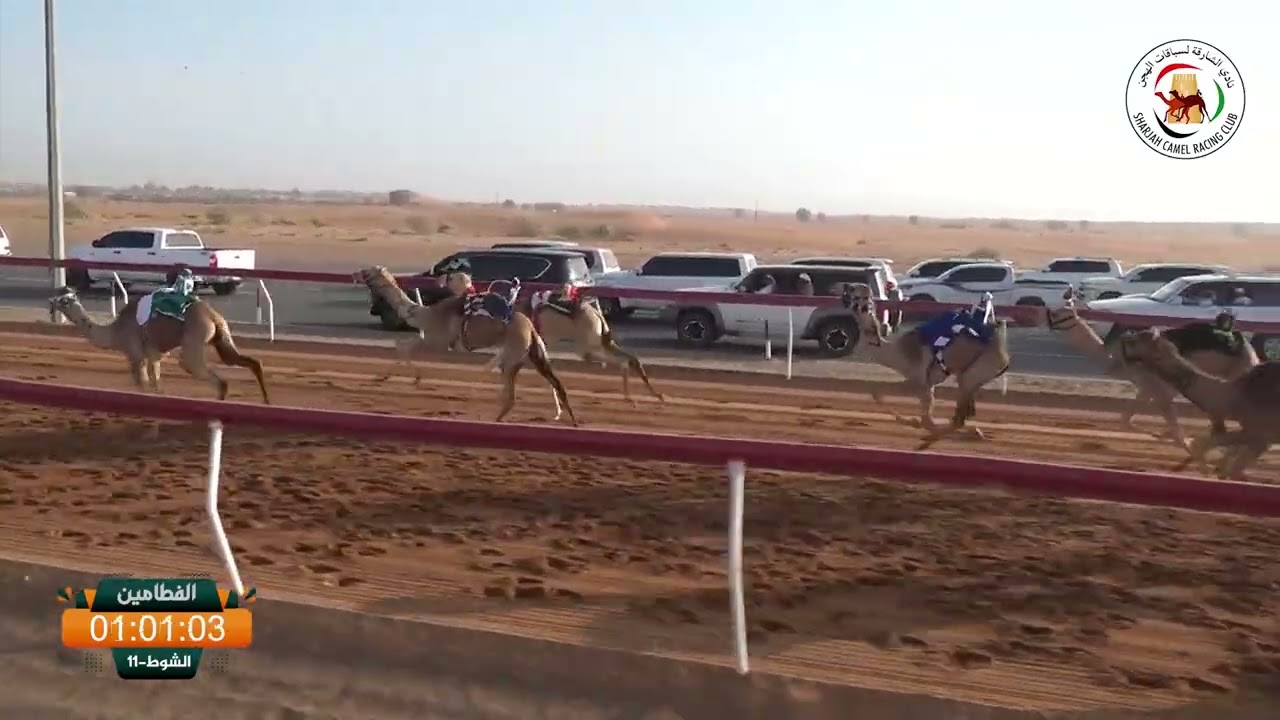 ميــدان الذيد - ش 11 الفطامين 07/03/2026 الشاهينية / محمد حارب محمد الخاصوني  التوقيت :2:12:66