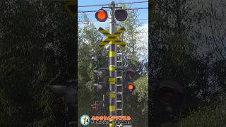 【踏切 電車】なにが通るかな???【ふみきりショート動画272】  #shorts